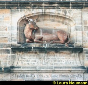 Ochse an der Fleischhalle